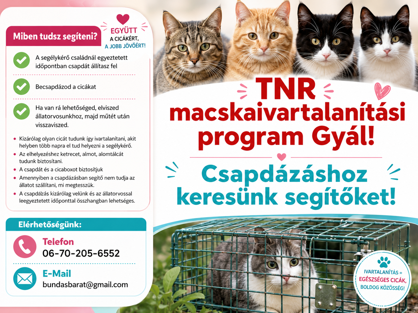 Kattints a nagyobb képért!